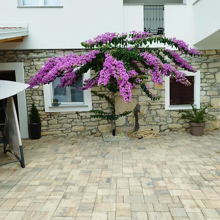 Kuca Za Odmor Ivana Villa *