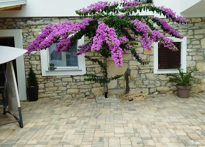 Kuca Za Odmor Ivana Villa *